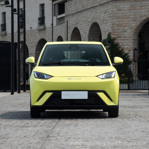 Hot Selling Byd Seagull Electric Vehicles New Energy Cars Cheap Price High Quality in Stock